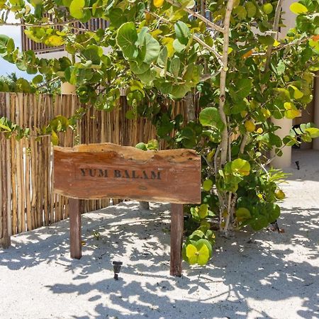 Ocean View Loft In Punta Cocos - C102 Hotell Isla Holbox Exteriör bild