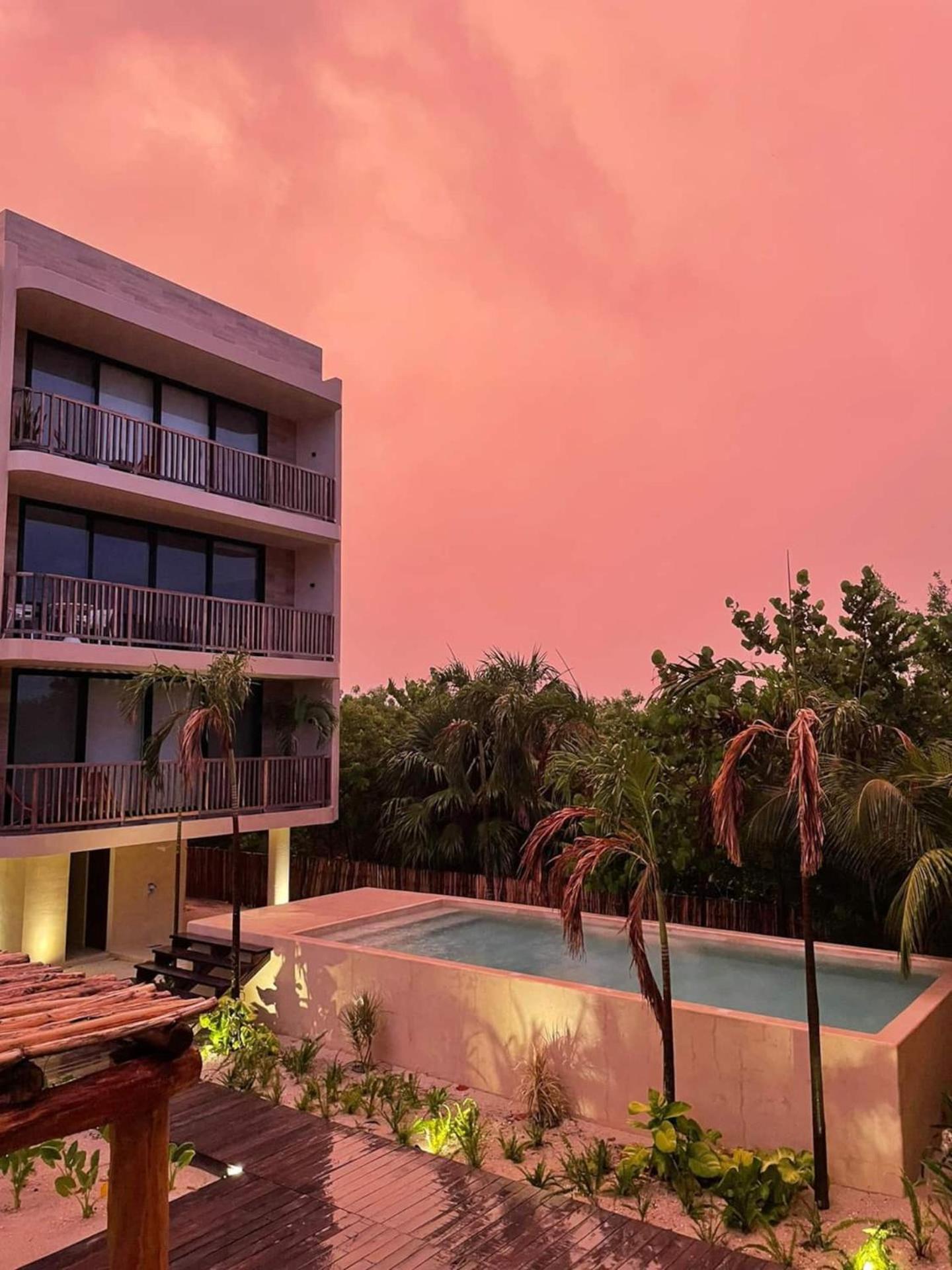 Ocean View Loft In Punta Cocos - C102 Hotell Isla Holbox Exteriör bild