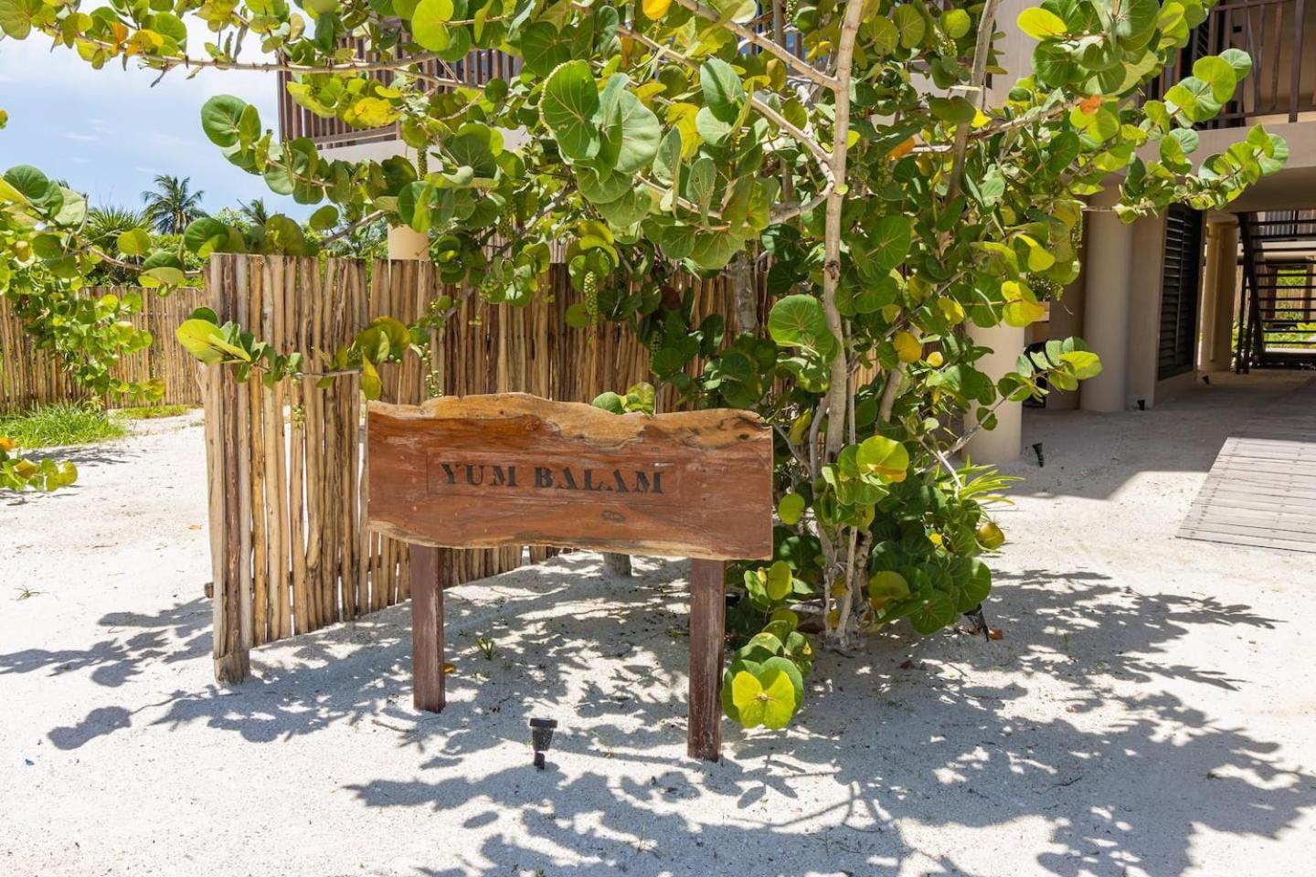 Ocean View Loft In Punta Cocos - C102 Hotell Isla Holbox Exteriör bild
