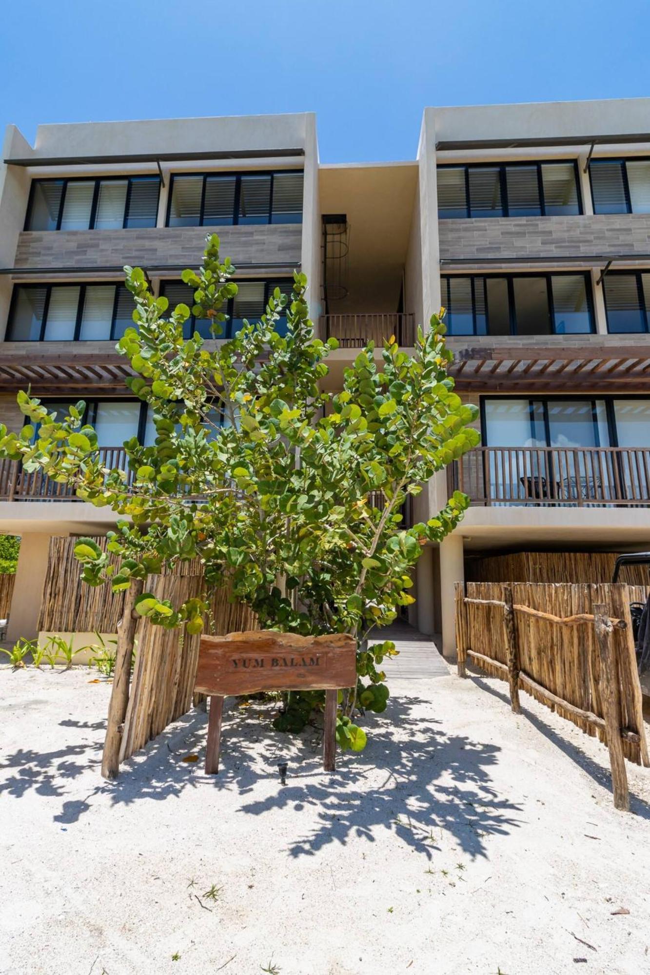 Ocean View Loft In Punta Cocos - C102 Hotell Isla Holbox Exteriör bild